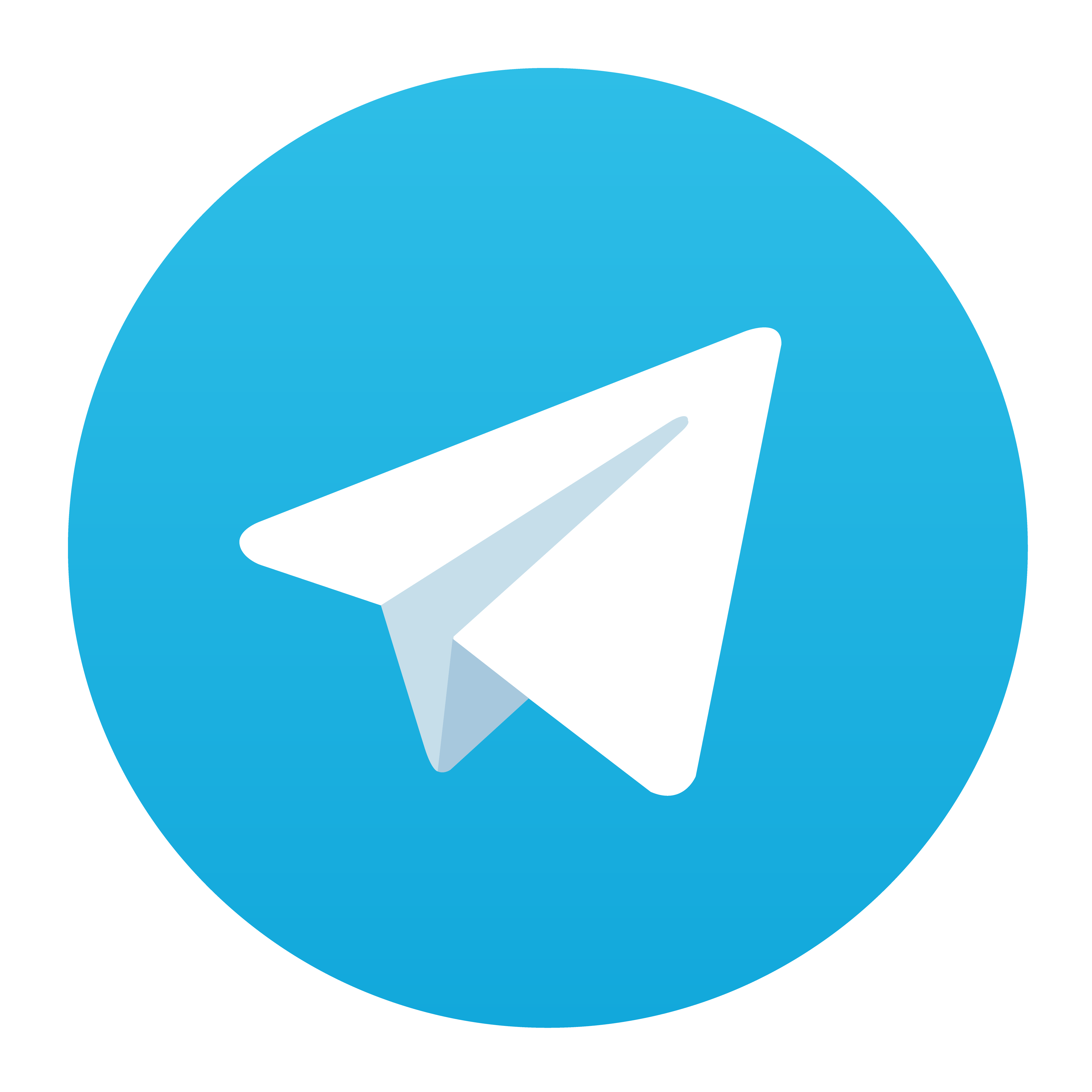 Telegram Logo